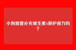 小狗需要补充维生素A保护视力吗？