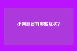 小狗感冒有哪些症状？