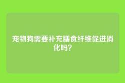 宠物狗需要补充膳食纤维促进消化吗？