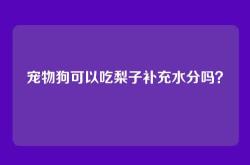 宠物狗可以吃梨子补充水分吗？