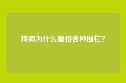 狗狗为什么害怕各种围栏？
