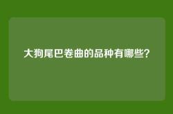 大狗尾巴卷曲的品种有哪些？