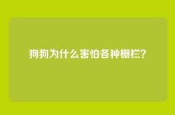狗狗为什么害怕各种栅栏？
