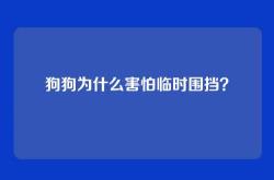 狗狗为什么害怕临时围挡？