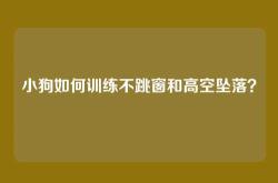 小狗如何训练不跳窗和高空坠落？