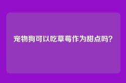 宠物狗可以吃草莓作为甜点吗？