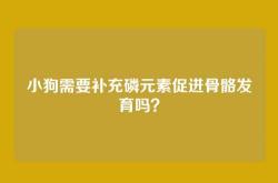 小狗需要补充磷元素促进骨骼发育吗？