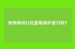 宠物狗可以吃蓝莓保护视力吗？