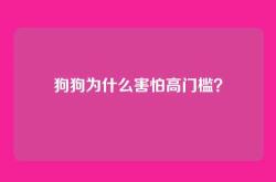 狗狗为什么害怕高门槛？