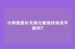 小狗需要补充钠元素维持体液平衡吗？