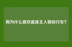 狗为什么喜欢追逐主人骑自行车？