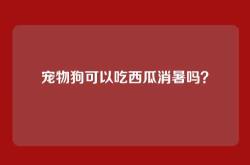 宠物狗可以吃西瓜消暑吗？
