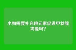 小狗需要补充碘元素促进甲状腺功能吗？
