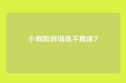小狗如何训练不爬床？