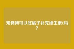 宠物狗可以吃橘子补充维生素C吗？