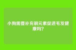 小狗需要补充铜元素促进毛发健康吗？