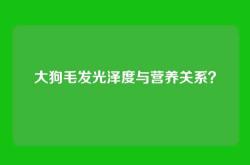 大狗毛发光泽度与营养关系？
