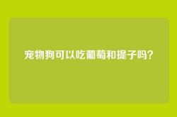 宠物狗可以吃葡萄和提子吗？