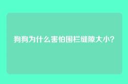 狗狗为什么害怕围栏缝隙大小？