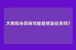 大狗耳朵异味可能是感染征兆吗？