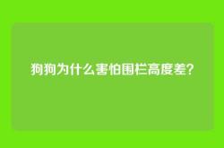狗狗为什么害怕围栏高度差？