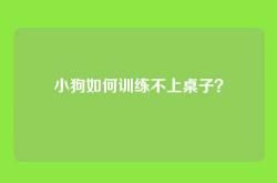 小狗如何训练不上桌子？