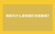 狗狗为什么害怕围栏材质触感？
