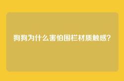 狗狗为什么害怕围栏材质触感？