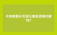 小狗需要补充钼元素促进酶功能吗？