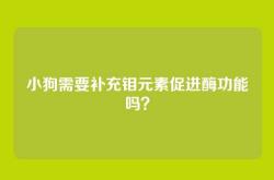 小狗需要补充钼元素促进酶功能吗？