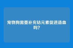 宠物狗需要补充钴元素促进造血吗？
