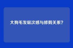 大狗毛发层次感与修剪关系？