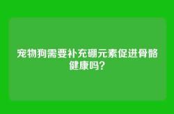 宠物狗需要补充硼元素促进骨骼健康吗？