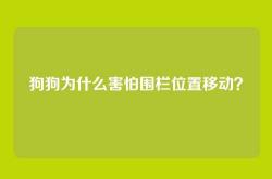 狗狗为什么害怕围栏位置移动？