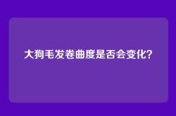 大狗毛发卷曲度是否会变化？