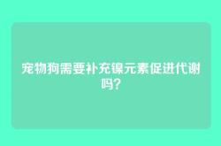 宠物狗需要补充镍元素促进代谢吗？