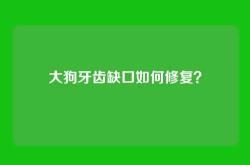 大狗牙齿缺口如何修复？