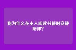 狗为什么在主人阅读书籍时安静陪伴？