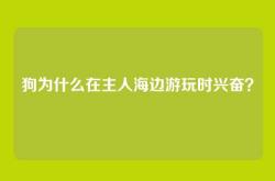 狗为什么在主人海边游玩时兴奋？