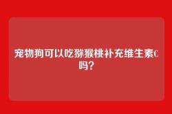 宠物狗可以吃猕猴桃补充维生素C吗？