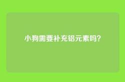 小狗需要补充铝元素吗？