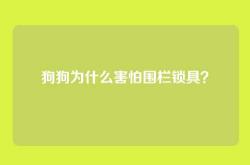 狗狗为什么害怕围栏锁具？