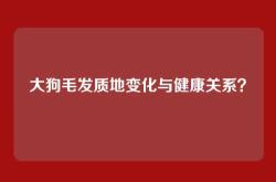 大狗毛发质地变化与健康关系？