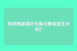 宠物狗需要补充锡元素促进生长吗？