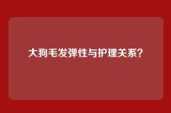 大狗毛发弹性与护理关系？