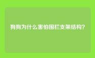 狗狗为什么害怕围栏支架结构？