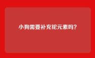 小狗需要补充铊元素吗？