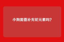 小狗需要补充铊元素吗？