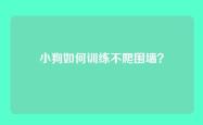 小狗如何训练不爬围墙？