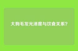 大狗毛发光泽度与饮食关系？
